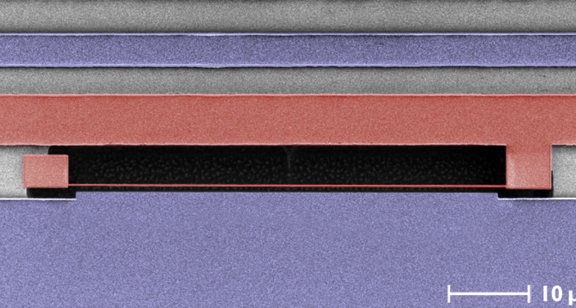 A thin nanomechanical beam shows up as a thin pink line in this colorized scanning electron micrograph.