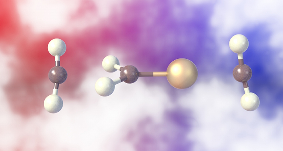 Orientation of solvent molecules around a negatively charged gold-carbon dioxide complex.