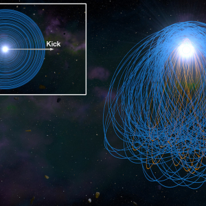 Planetesimal orbits around a white dwarf. Initially, every planetesimal has a circular, prograde orbit. The kick forms an eccentric debris disk which with prograde (blue) and retrograde orbits (orange).