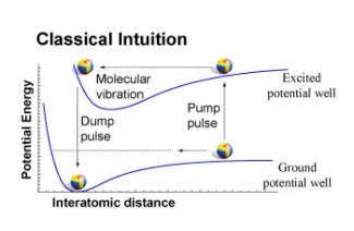 Representation of the pump/dump method.