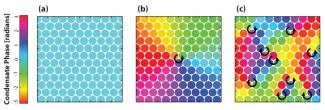 Images of a lattice array with different phases of condensate wave functions.