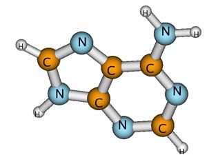 Illustration of the weakest link in DNA.