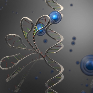 Figure illustrating Mg2+ ions (blue) help RNA molecules.